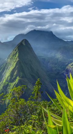 ile de la reunion long cours