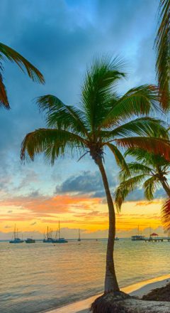 guadeloupe long cours