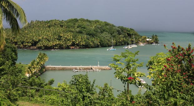 5 bonnes raisons de découvrir la Guyane française